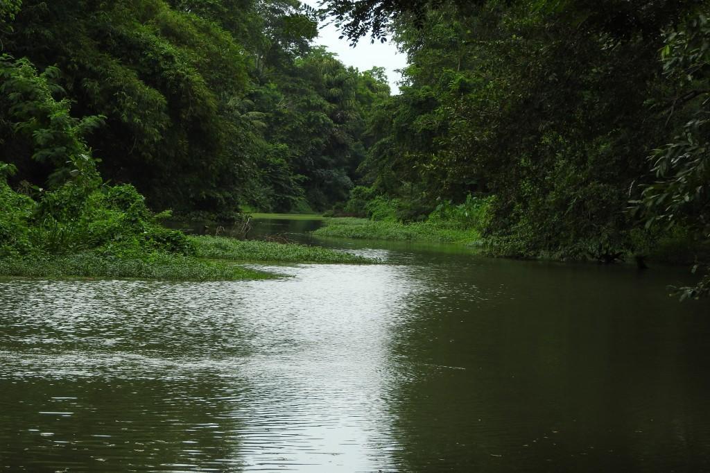 טיסמהרמה River Side Cabana מראה חיצוני תמונה