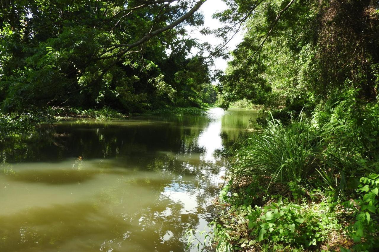 טיסמהרמה River Side Cabana מראה חיצוני תמונה